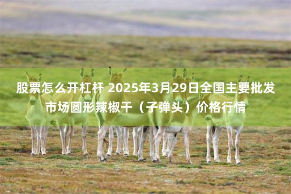 股票怎么开杠杆 2025年3月29日全国主要批发市场圆形辣椒干（子弹头）价格行情