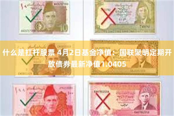 什么是扛杆股票 4月2日基金净值：国联聚明定期开放债券最新净值1.0405