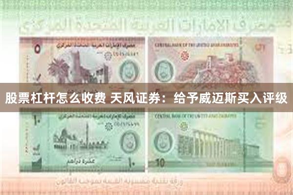 股票杠杆怎么收费 天风证券：给予威迈斯买入评级