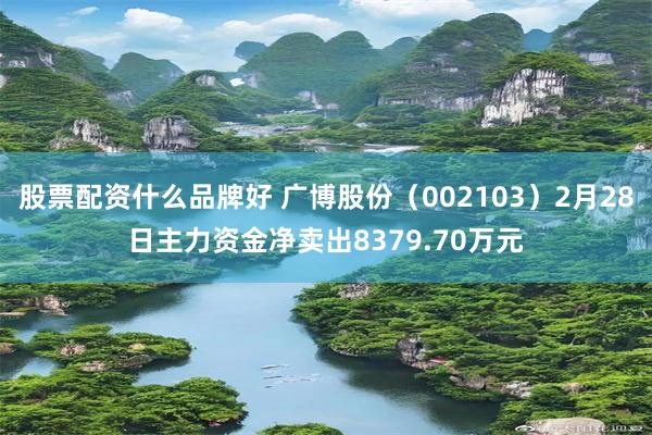 股票配资什么品牌好 广博股份（002103）2月28日主力资金净卖出8379.70万元