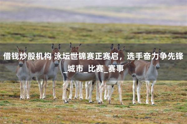 借钱炒股机构 泳坛世锦赛正赛启，选手奋力争先锋_城市_比赛_赛事