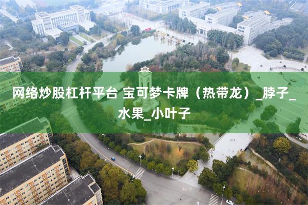 网络炒股杠杆平台 宝可梦卡牌（热带龙）_脖子_水果_小叶子