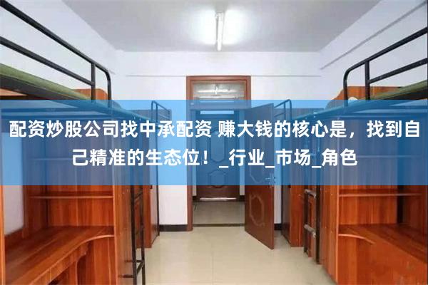 配资炒股公司找中承配资 赚大钱的核心是，找到自己精准的生态位！_行业_市场_角色