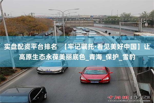 实盘配资平台排名  【牢记嘱托·看见美好中国】让高原生态永葆美丽底色_青海_保护_雪豹