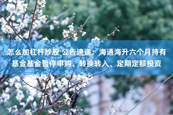 怎么加杠杆炒股 公告速递：海通海升六个月持有基金基金暂停申购、转换转入、定期定额投资