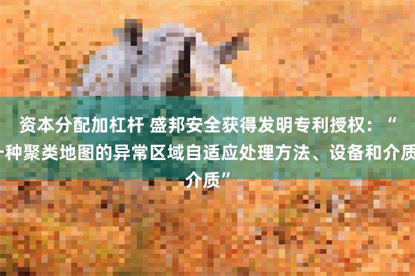 资本分配加杠杆 盛邦安全获得发明专利授权：“一种聚类地图的异常区域自适应处理方法、设备和介质”