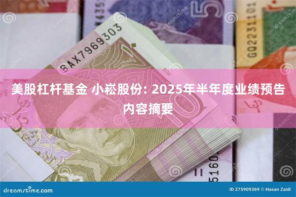 美股杠杆基金 小崧股份: 2025年半年度业绩预告内容摘要