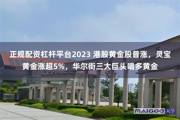 正规配资杠杆平台2023 港股黄金股普涨，灵宝黄金涨超5%，华尔街三大巨头唱多黄金