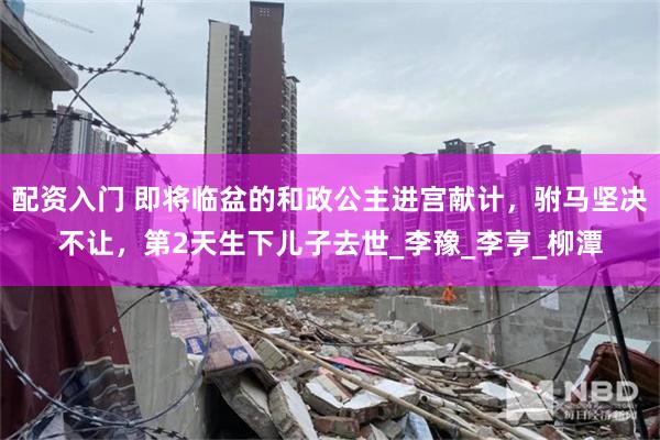 配资入门 即将临盆的和政公主进宫献计，驸马坚决不让，第2天生下儿子去世_李豫_李亨_柳潭