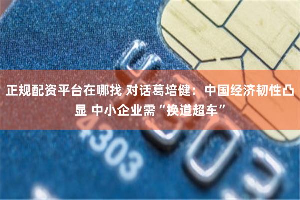 正规配资平台在哪找 对话葛培健：中国经济韧性凸显 中小企业需“换道超车”