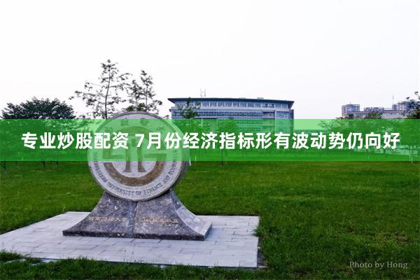专业炒股配资 7月份经济指标形有波动势仍向好