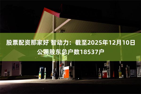 股票配资那家好 智动力：截至2025年12月10日公司股东总户数18537户