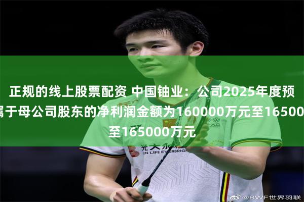 正规的线上股票配资 中国铀业：公司2025年度预计归属于母公司股东的净利润金额为160000万元至165000万元
